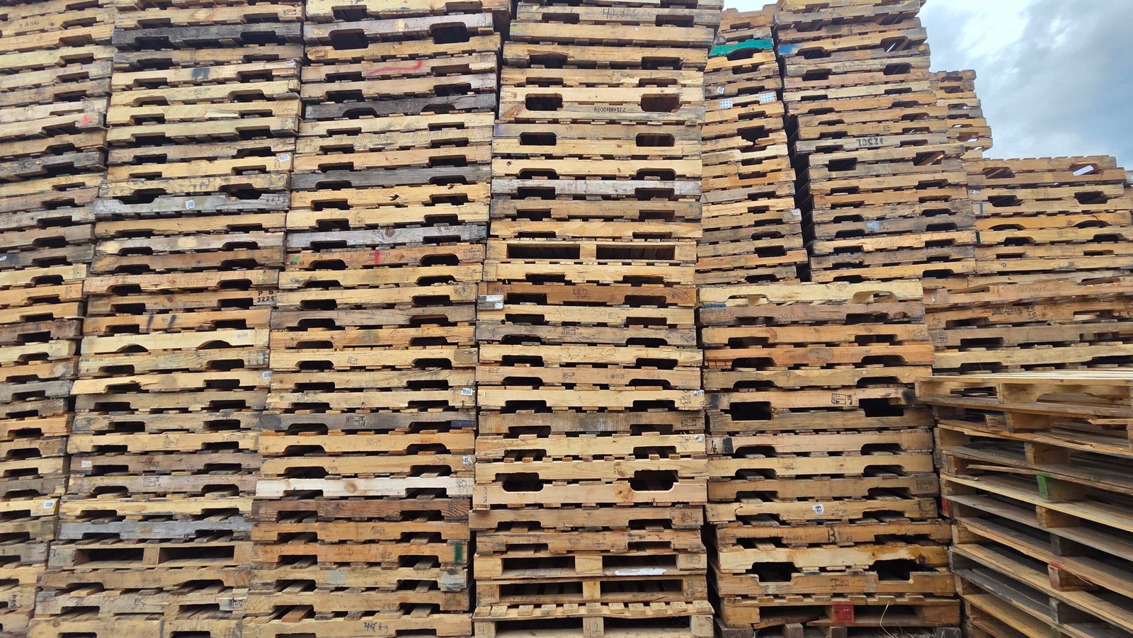 Compra de tarimas usadas